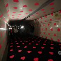 IMG_1594016