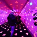 IMG_1594164