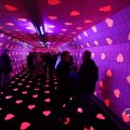 IMG_1594176