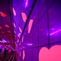 IMG_1594199