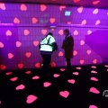 IMG_1594201