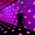 IMG_1594230