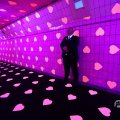 IMG_1594231