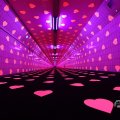 IMG_1594302