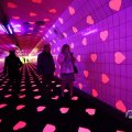 IMG_1594342