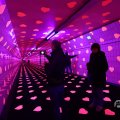 IMG_1594358