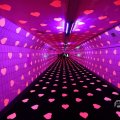 IMG_1594367