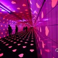 IMG_1594376