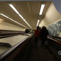 IMG_1594398