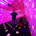 IMG_1594423