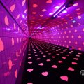 IMG_1594427