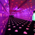 IMG_1594431