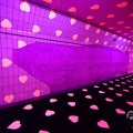 IMG_1594437