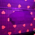 IMG_1594445