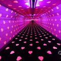 IMG_1594452