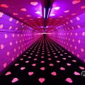 IMG_1594453