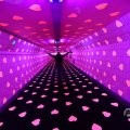 IMG_1594458
