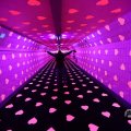 IMG_1594459