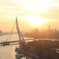 IMG_1594533