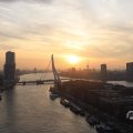 IMG_1594535