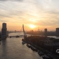 IMG_1594536
