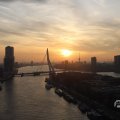 IMG_1594537