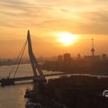 IMG_1594539