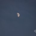 IMG_1594556