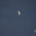 IMG_1594557
