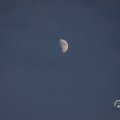 IMG_1594558