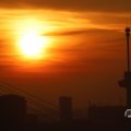 IMG_1594591