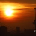 IMG_1594592