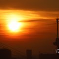 IMG_1594594