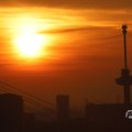 IMG_1594595