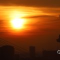 IMG_1594596