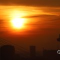 IMG_1594597