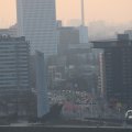 IMG_1594603