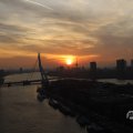 IMG_1594638