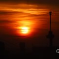 IMG_1594639