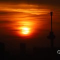 IMG_1594640