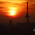 IMG_1594641