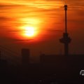 IMG_1594642