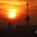 IMG_1594646