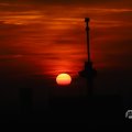 IMG_1594687