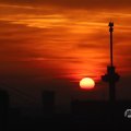 IMG_1594691