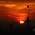 IMG_1594694
