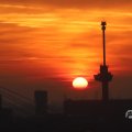 IMG_1594695