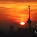 IMG_1594696