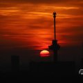 IMG_1594714