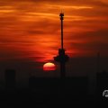 IMG_1594715